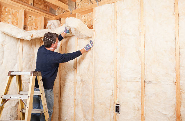 Best Radiant Barrier Insulation  in USA